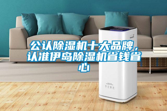 公認除濕機十大品牌，認準伊島除濕機省錢省心