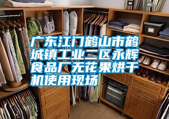 廣東江門鶴山市鶴城鎮(zhèn)工業(yè)二區(qū)永輝食品廠無花果烘干機(jī)使用現(xiàn)場(chǎng)