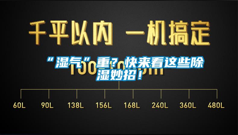 “濕氣”重？快來看這些除濕妙招！