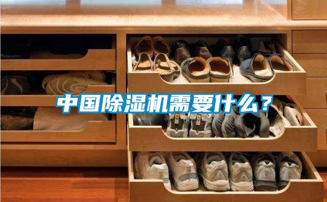 中國除濕機需要什么？