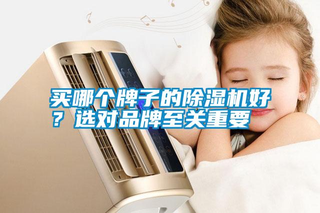 買哪個牌子的除濕機(jī)好？選對品牌至關(guān)重要