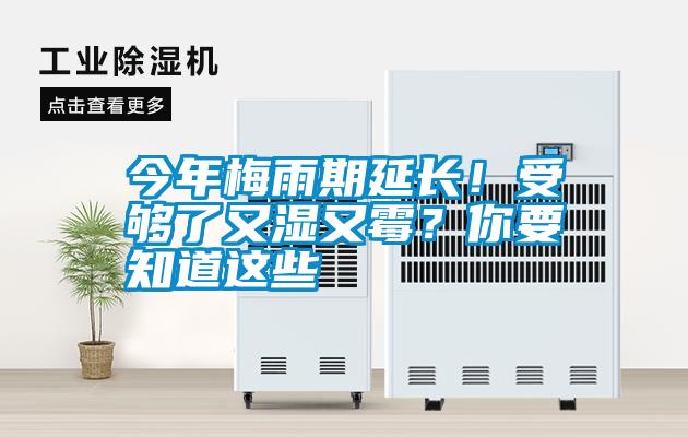 今年梅雨期延長！受夠了又濕又霉？你要知道這些