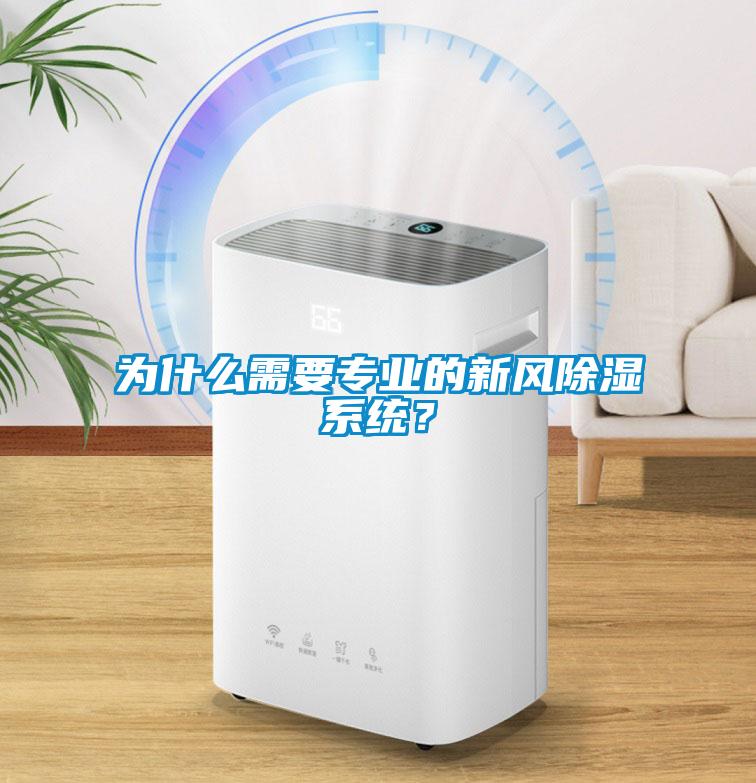 為什么需要專業的新風除濕系統？
