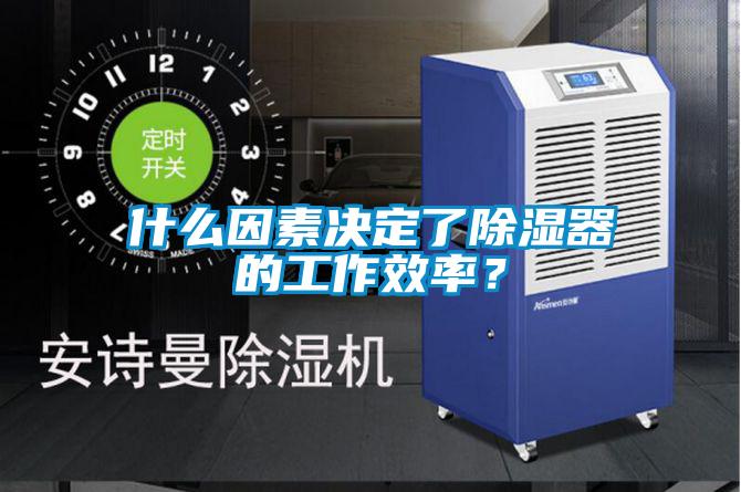 什么因素決定了除濕器的工作效率？