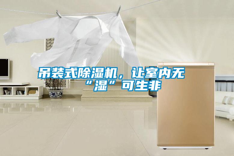 吊裝式除濕機(jī)，讓室內(nèi)無(wú)“濕”可生非