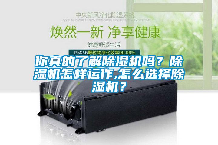 你真的了解除濕機嗎？除濕機怎樣運作,怎么選擇除濕機？