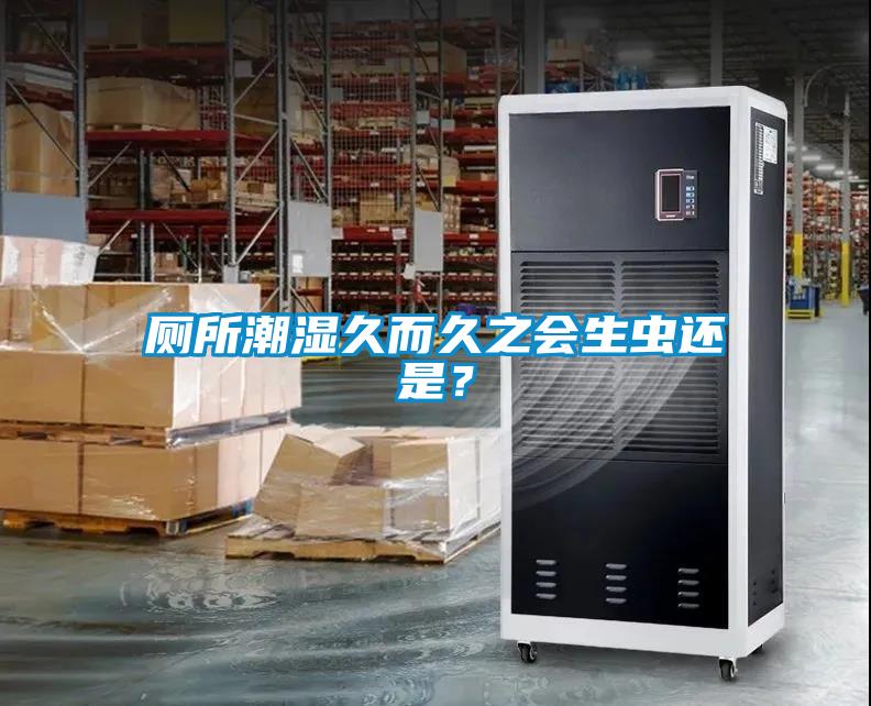 廁所潮濕久而久之會(huì)生蟲(chóng)還是？