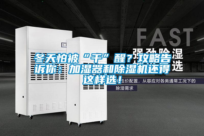 冬天怕被“干”醒？攻略告訴你：加濕器和除濕機還得這樣選！