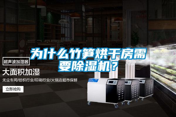 為什么竹筍烘干房需要除濕機？