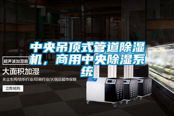 中央吊頂式管道除濕機，商用中央除濕系統