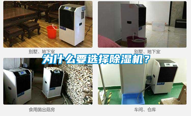 為什么要選擇除濕機(jī)？