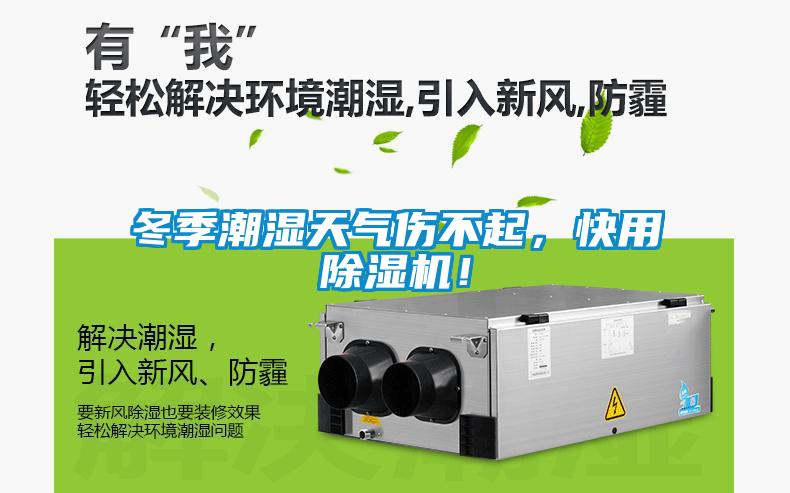 冬季潮濕天氣傷不起，快用除濕機！