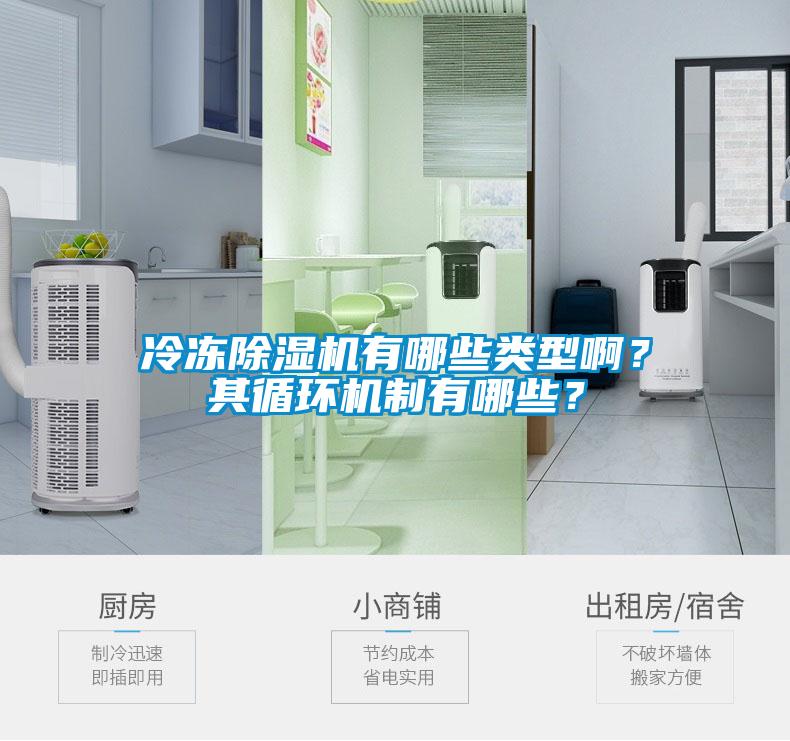 冷凍除濕機有哪些類型?。科溲h機制有哪些？