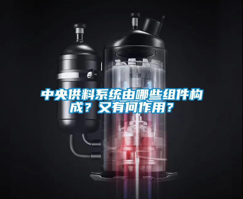 中央供料系統由哪些組件構成？又有何作用？