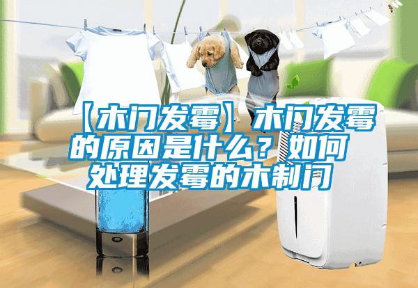 【木門發霉】木門發霉的原因是什么？如何處理發霉的木制門