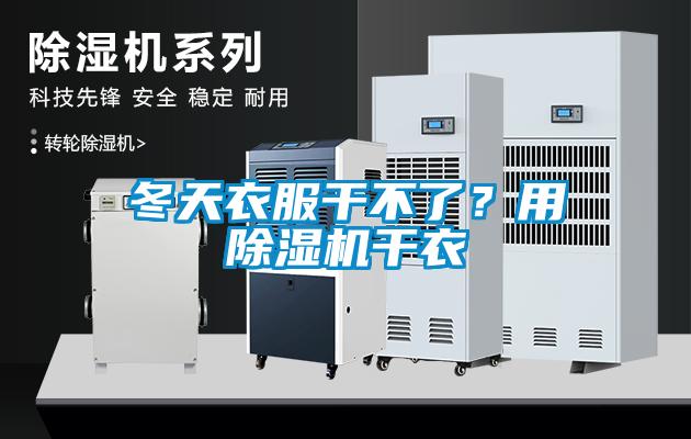冬天衣服干不了？用除濕機干衣