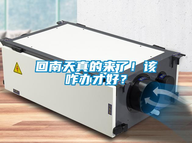 回南天真的來了！該咋辦才好？