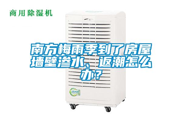 南方梅雨季到了房屋墻壁滲水、返潮怎么辦？