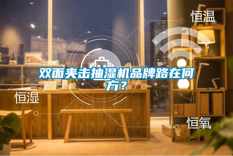 雙面夾擊抽濕機品牌路在何方？