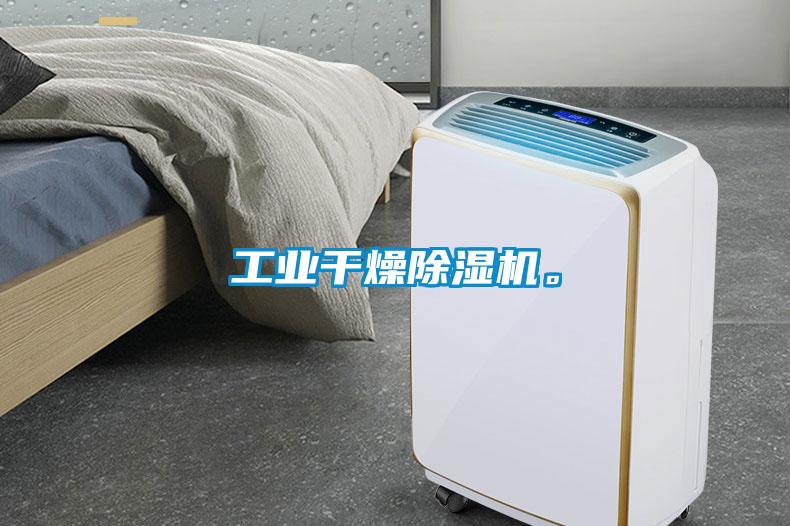 工業(yè)干燥除濕機。