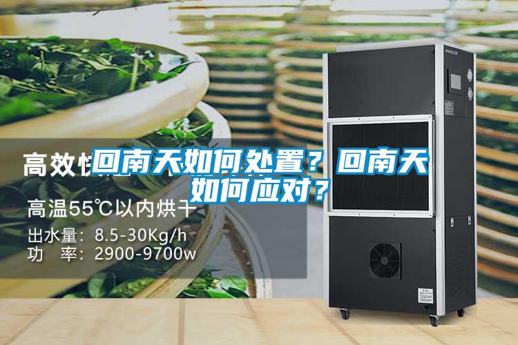 回南天如何處置？回南天如何應(yīng)對(duì)？