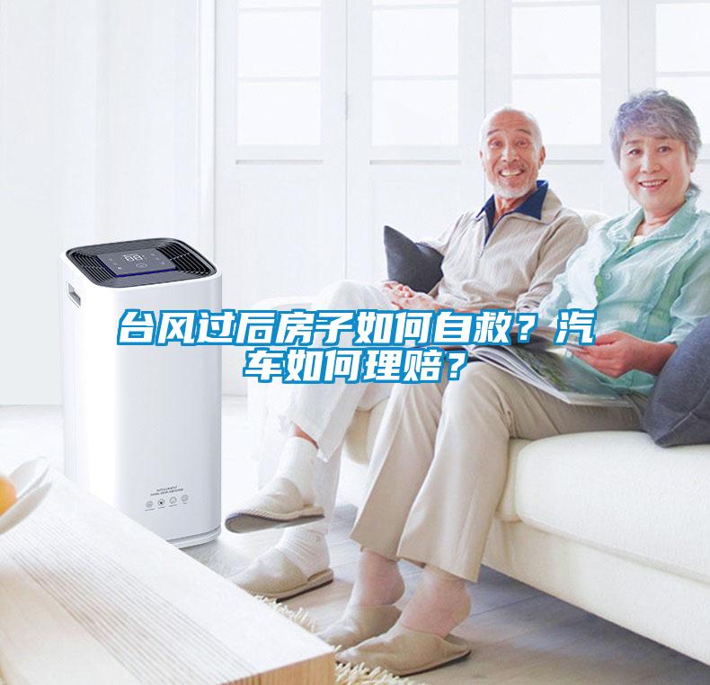 臺風過后房子如何自救？汽車如何理賠？