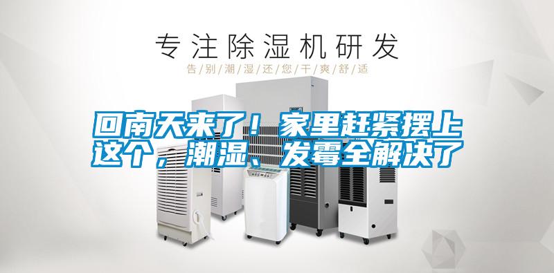 回南天來了！家里趕緊擺上這個，潮濕、發霉全解決了