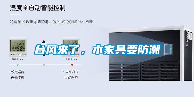 臺風來了，木家具要防潮