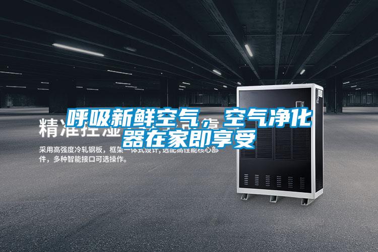 呼吸新鮮空氣，空氣凈化器在家即享受