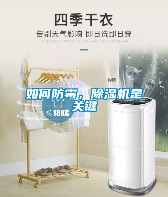 如何防霉，除濕機是關(guān)鍵