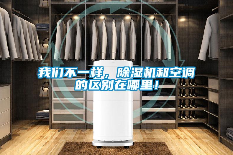 我們不一樣，除濕機和空調(diào)的區(qū)別在哪里！