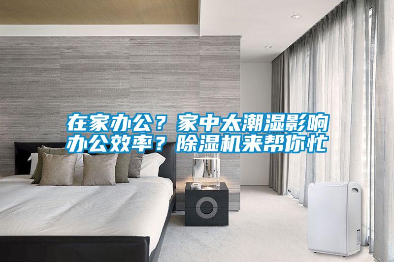 在家辦公？家中太潮濕影響辦公效率？除濕機來幫你忙