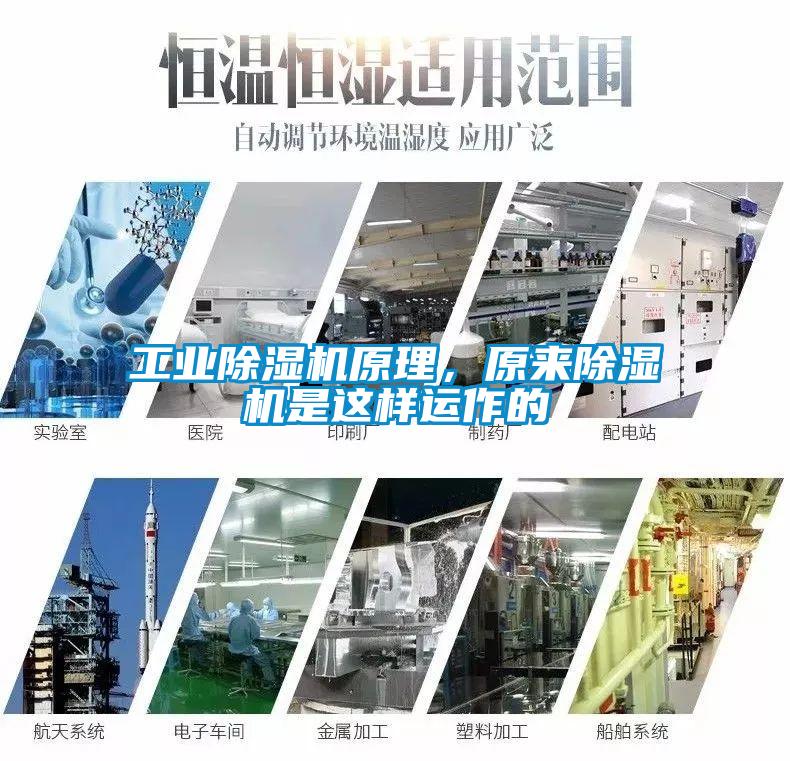 工業除濕機原理，原來除濕機是這樣運作的