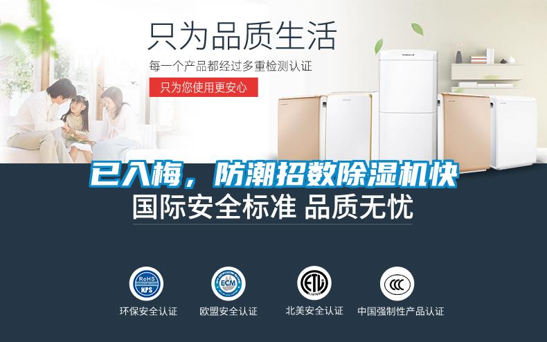已入梅，防潮招數(shù)除濕機快