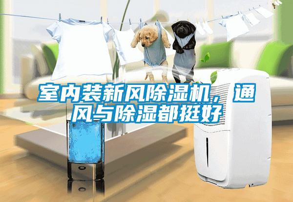 室內裝新風除濕機，通風與除濕都挺好