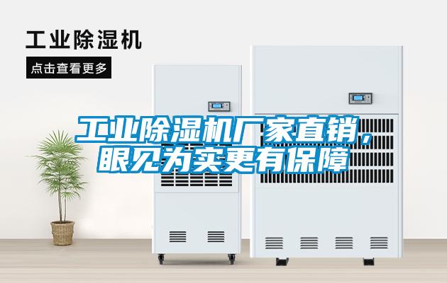 工業(yè)除濕機(jī)廠家直銷，眼見為實更有保障