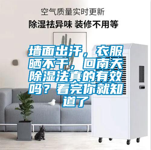 墻面出汗，衣服曬不干，回南天除濕法真的有效嗎？看完你就知道了