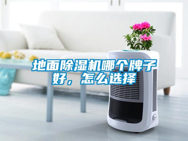 地面除濕機哪個牌子好，怎么選擇