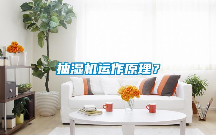 抽濕機運作原理？