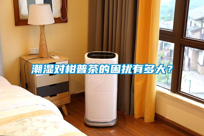 潮濕對(duì)柑普茶的困擾有多大？