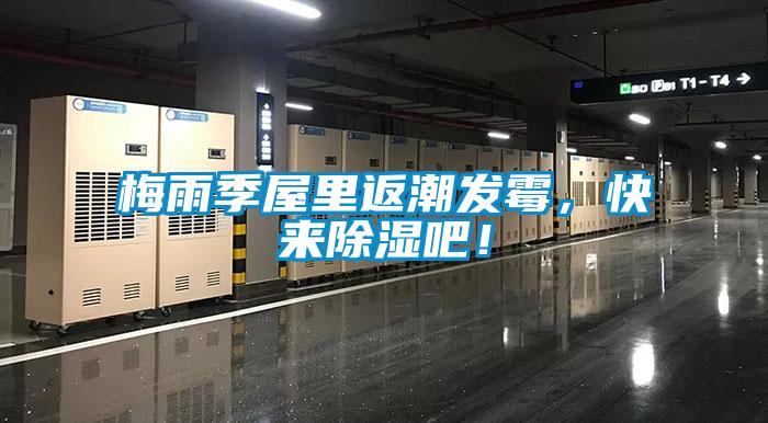 梅雨季屋里返潮發霉，快來除濕吧！