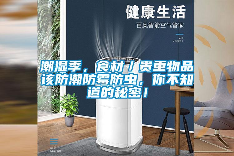 潮濕季，食材／貴重物品該防潮防霉防蟲，你不知道的秘密！
