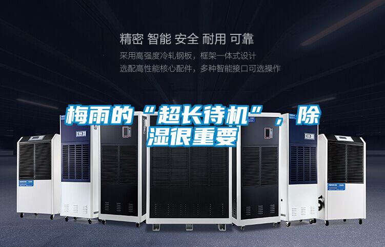 梅雨的“超長待機”，除濕很重要