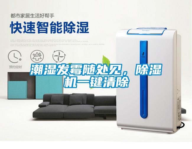 潮濕發霉隨處見，除濕機一鍵清除