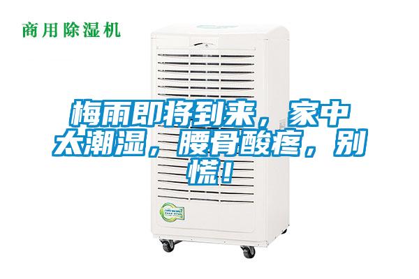 梅雨即將到來(lái)，家中太潮濕，腰骨酸疼，別慌！