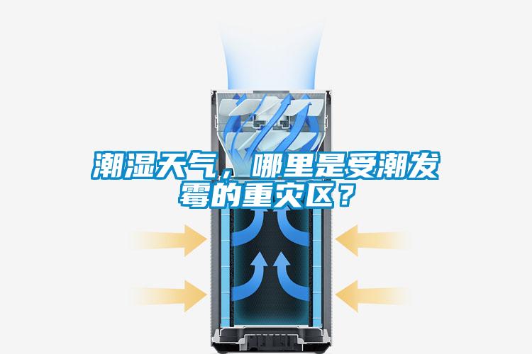 潮濕天氣，哪里是受潮發霉的重災區？