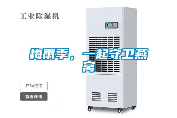 梅雨季，一起守衛(wèi)燕窩