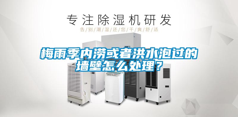 梅雨季內(nèi)澇或者洪水泡過的墻壁怎么處理？