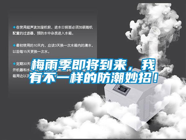 梅雨季即將到來，我有不一樣的防潮妙招！