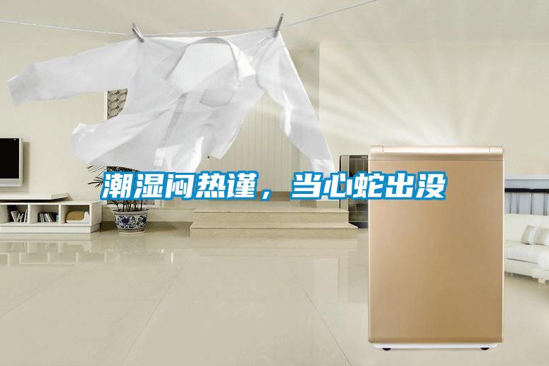潮濕悶熱謹，當心蛇出沒
